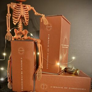 Carnival of Curiosities - Party Box